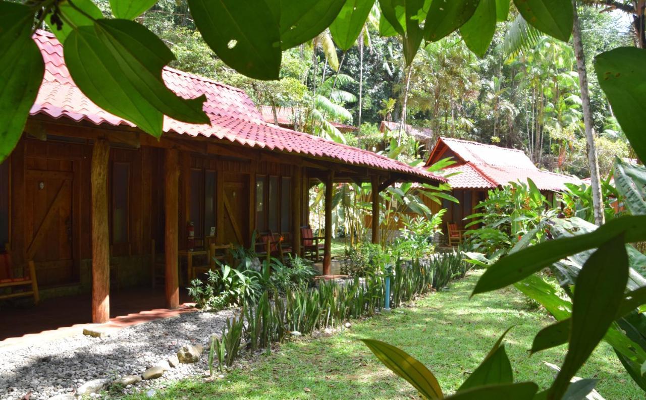 Lodge Esquinas Rainforest