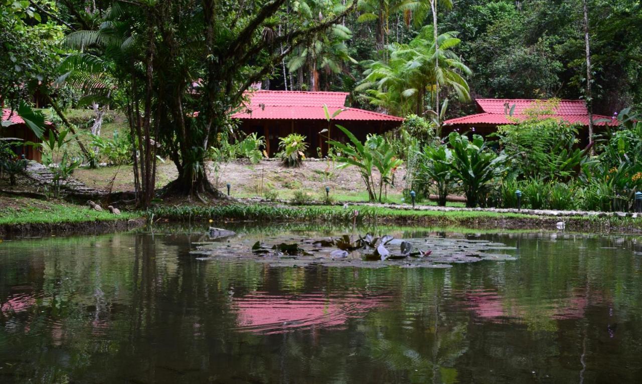 Esquinas Rainforest Golfito
