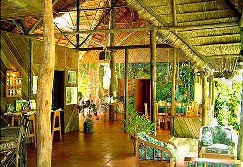 Esquinas Rainforest