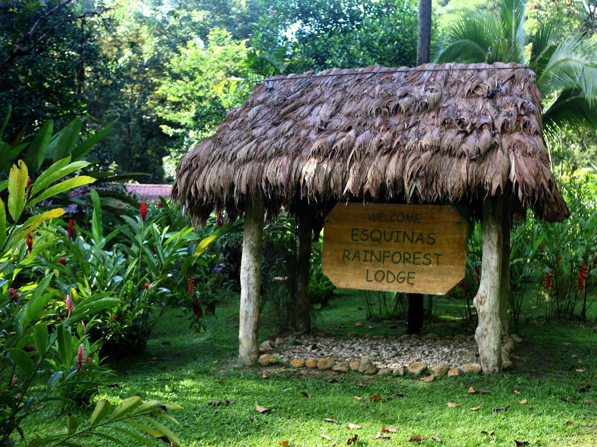 Lodge Esquinas Rainforest