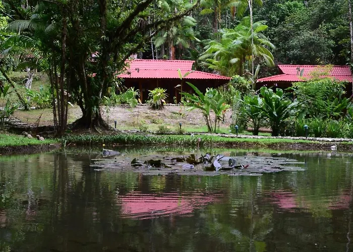 Esquinas Rainforest Lodge