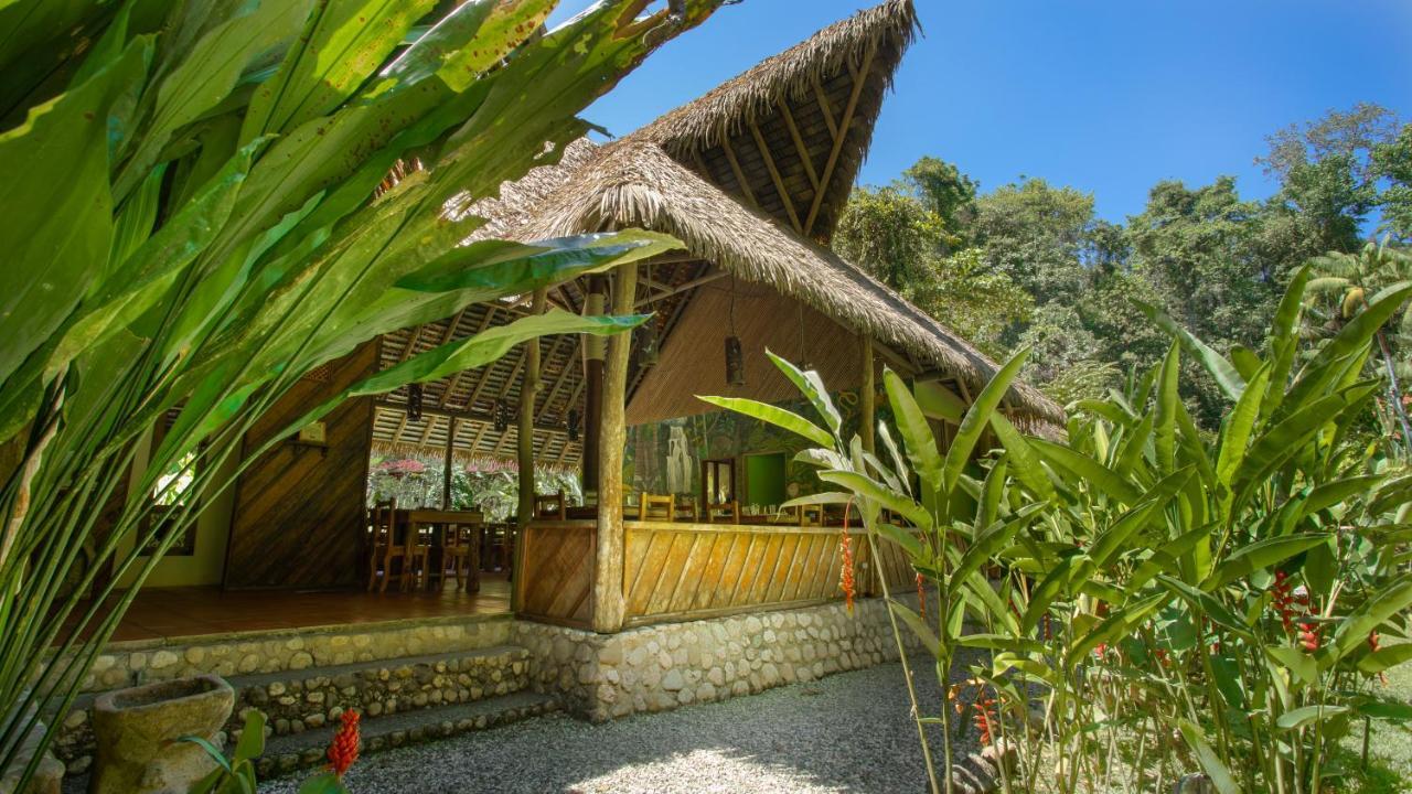 Lodge Esquinas Rainforest