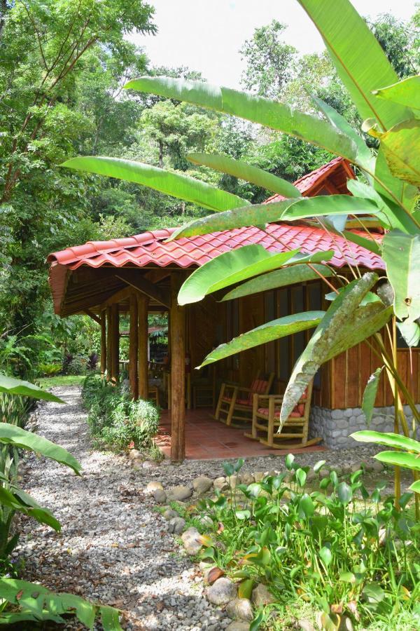 Esquinas Rainforest Lodge *