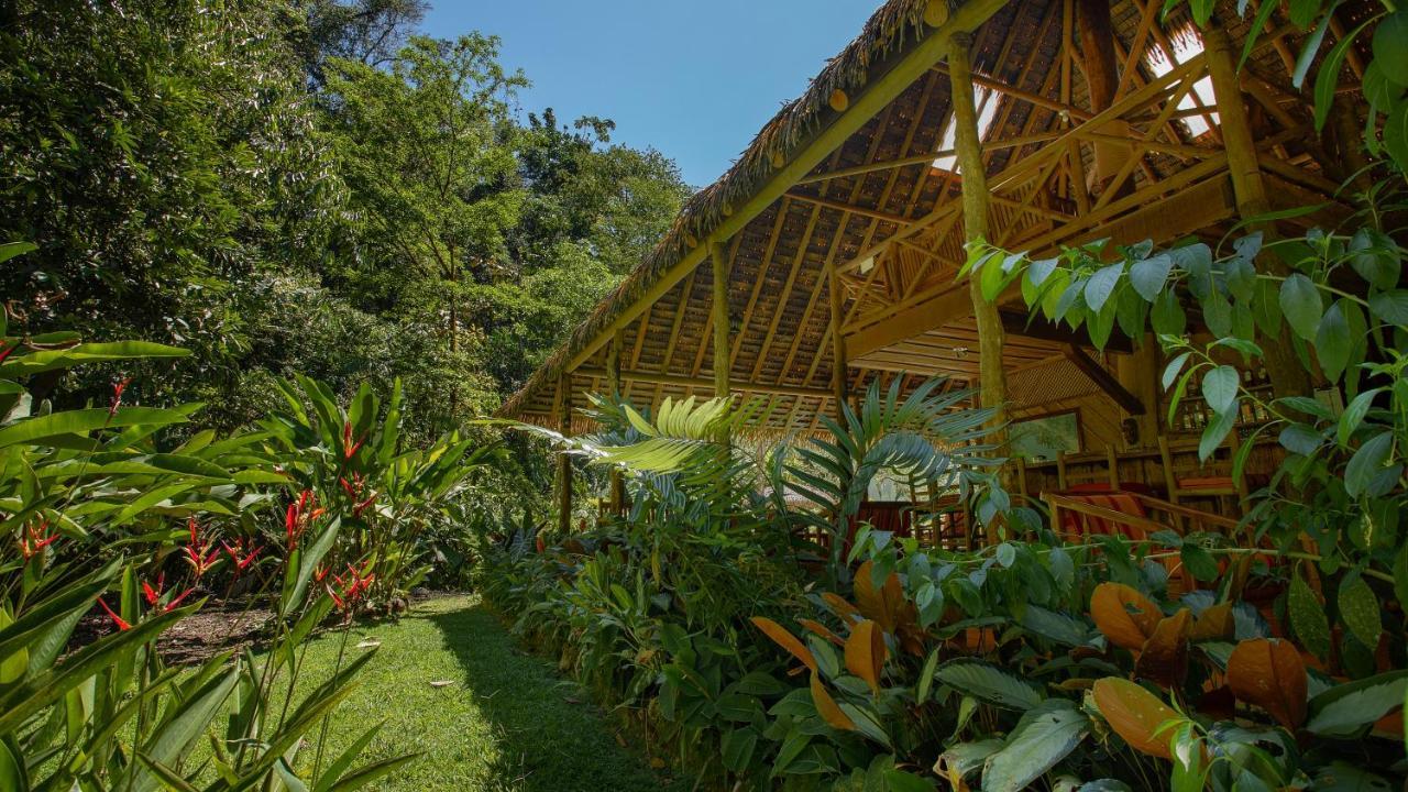 Esquinas Rainforest Lodge Golfito
