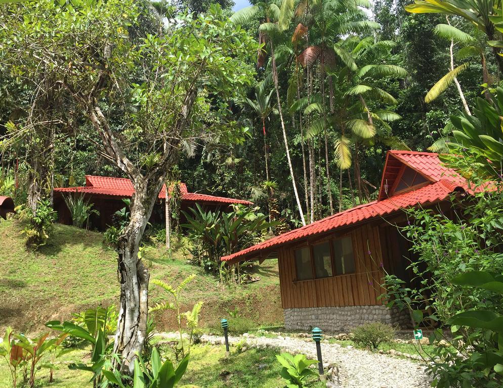 Lodge Esquinas Rainforest *