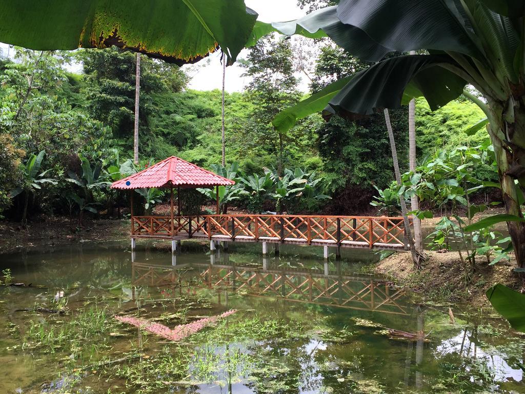 Esquinas Rainforest