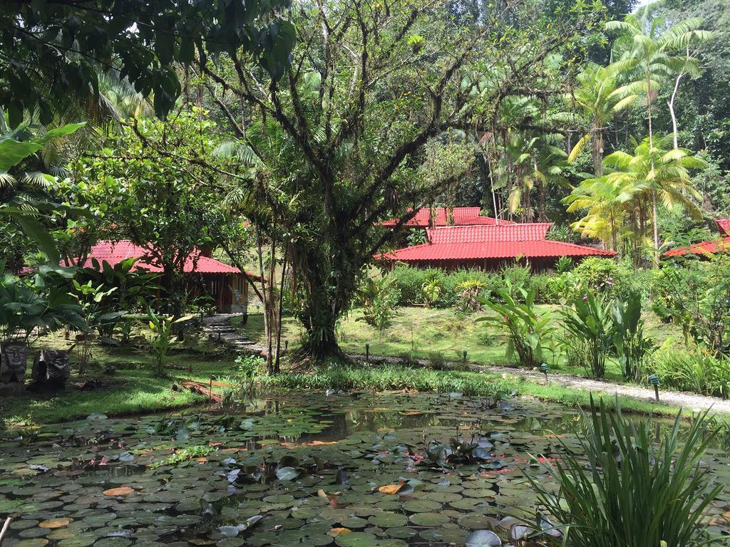 Esquinas Rainforest * Golfito