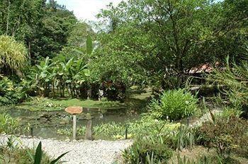 Lodge Esquinas Rainforest