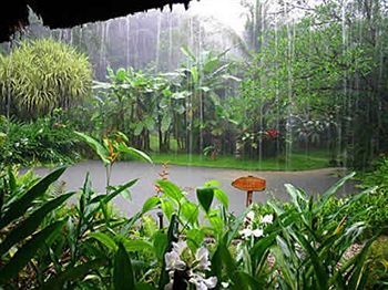 Esquinas Rainforest Lodge Golfito