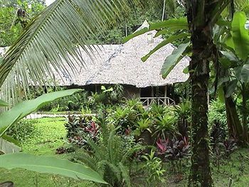 Esquinas Rainforest