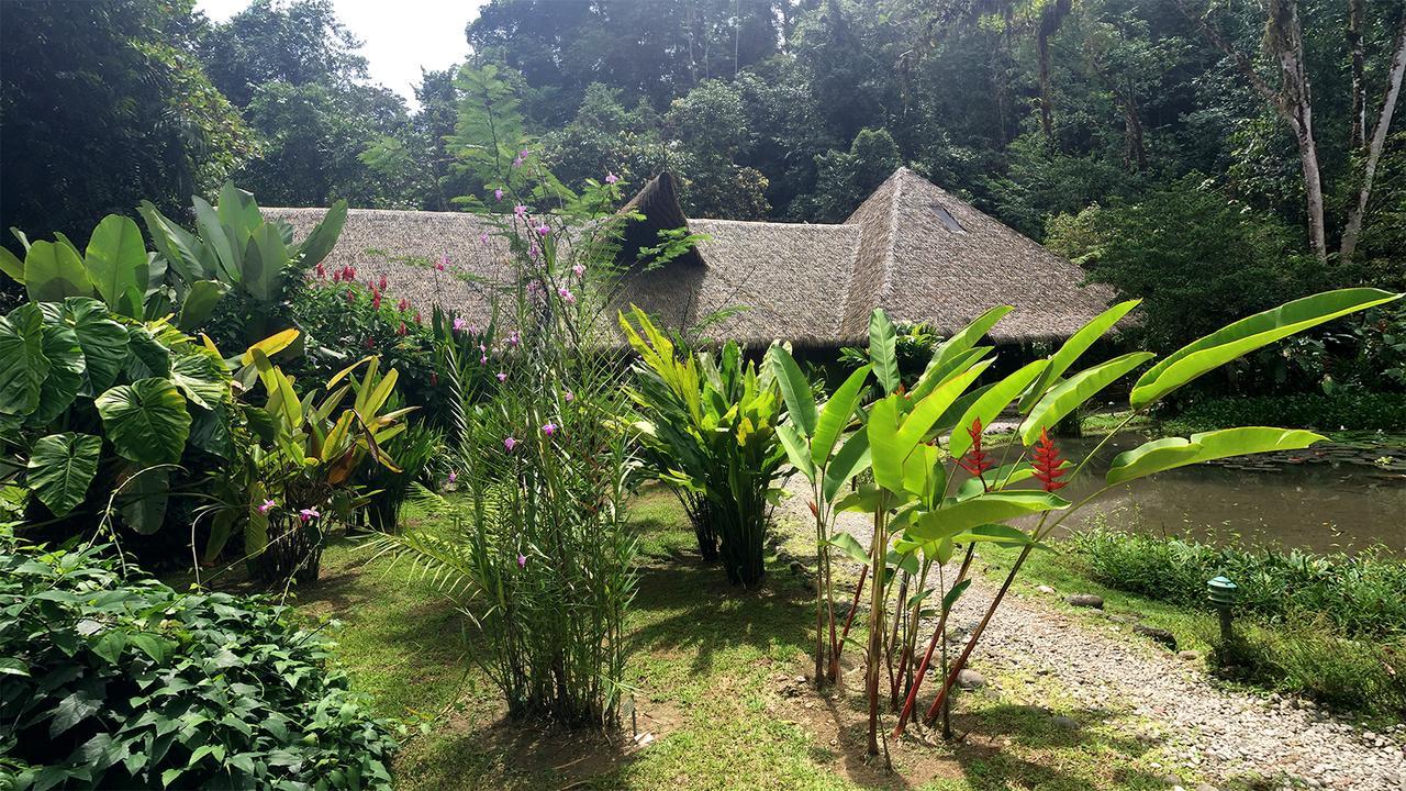 Esquinas Rainforest Lodge *