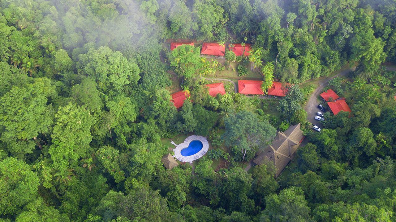 Esquinas Rainforest Lodge Golfito