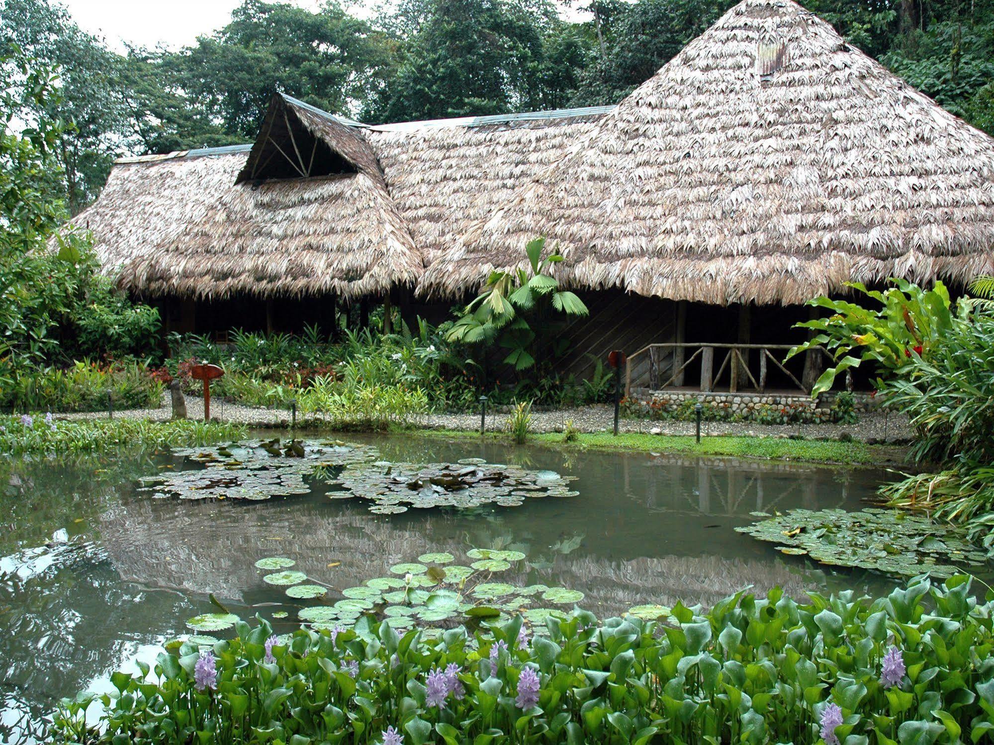 Lodge Esquinas Rainforest Golfito