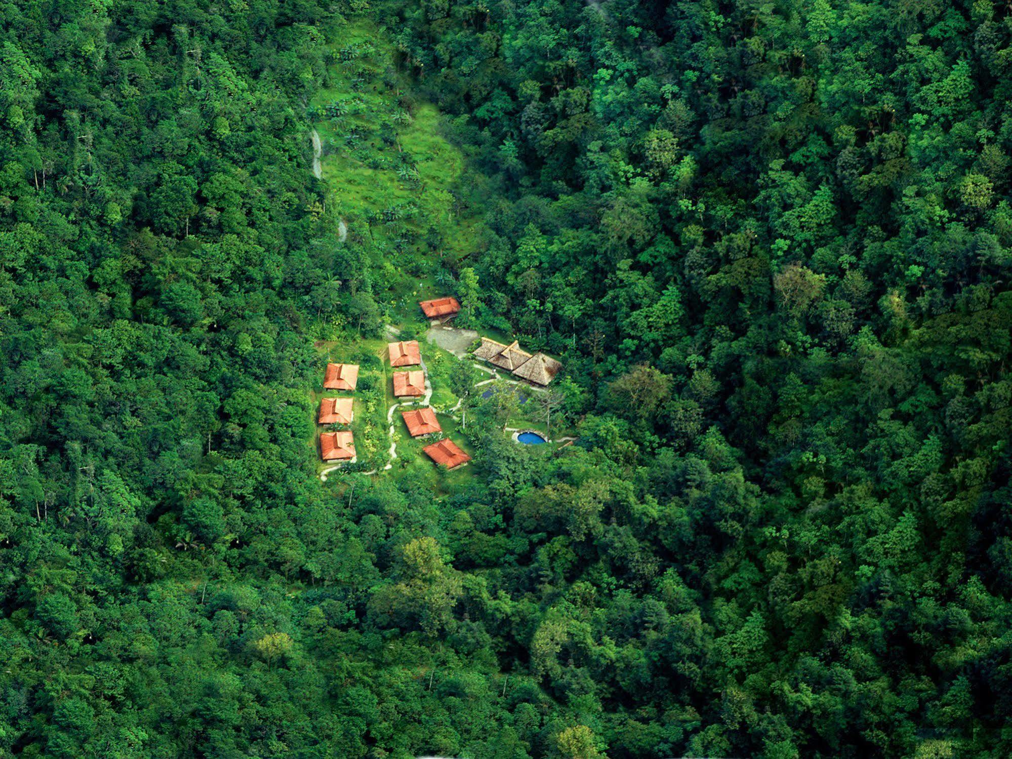 Esquinas Rainforest Lodge *