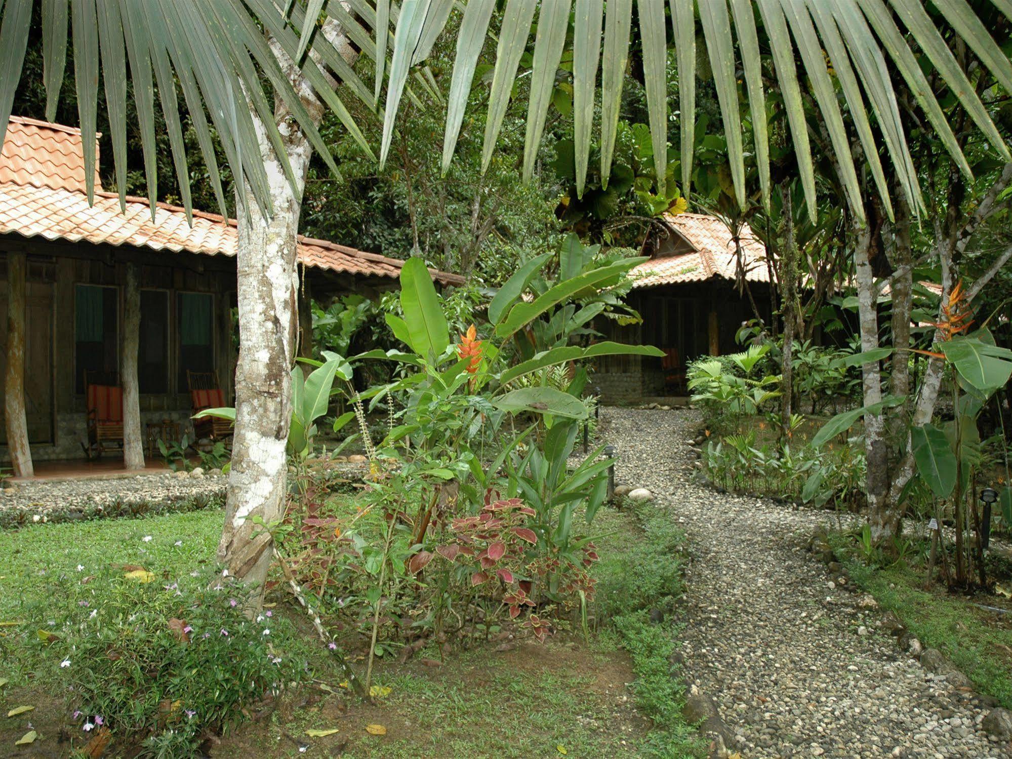 Esquinas Rainforest Lodge