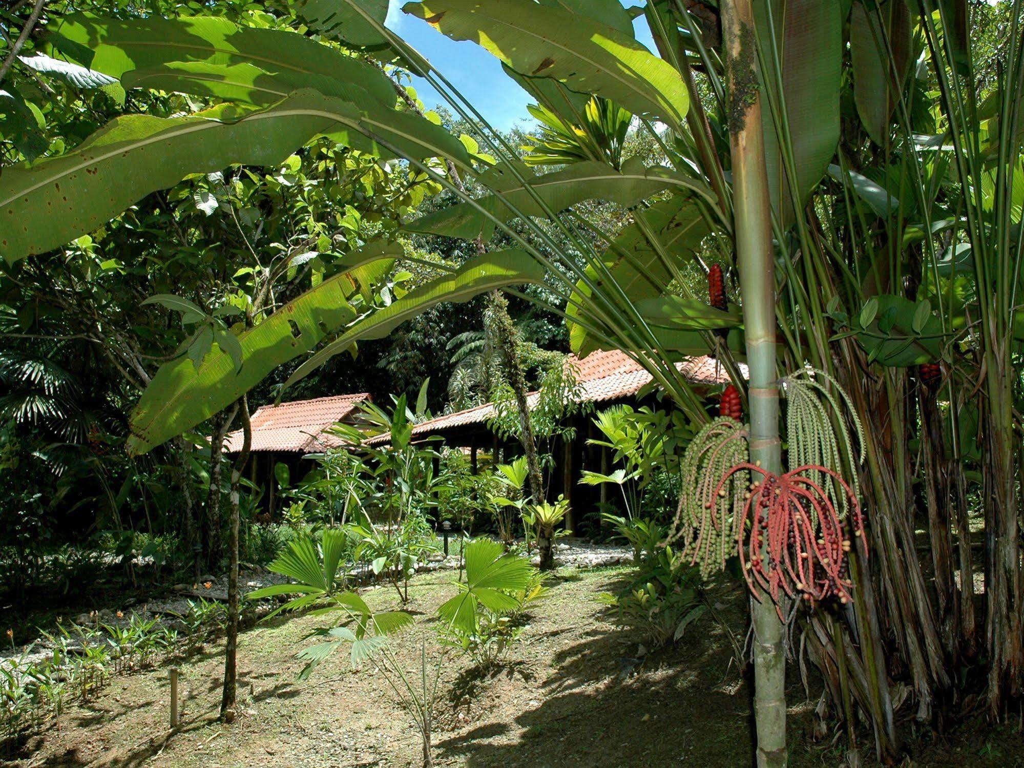 Esquinas Rainforest * Golfito